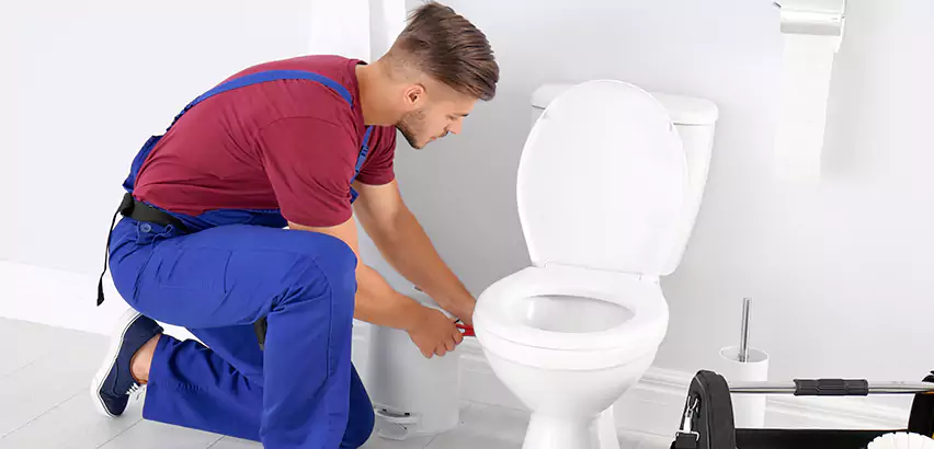 Scope of Bathroom Toilet Bowl Replacement Services in Santa Barbara, CA