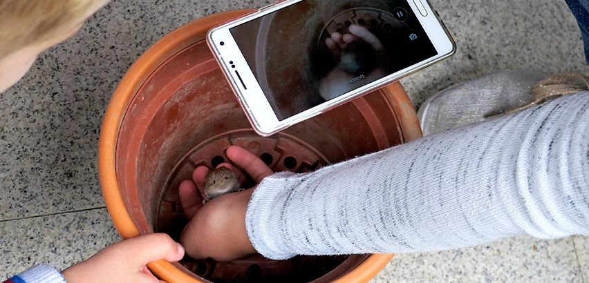 Scope of Drain Camera Inspection Services in Santa Barbara, CA