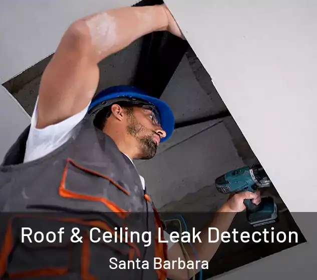  Roof & Ceiling Leak Detection Santa Barbara