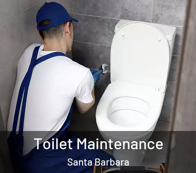  Toilet Maintenance Santa Barbara